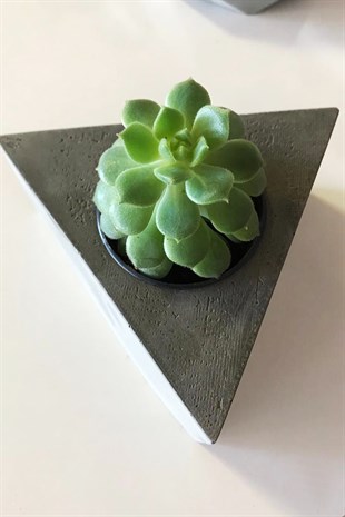Bitkili beton üçgen saksılık